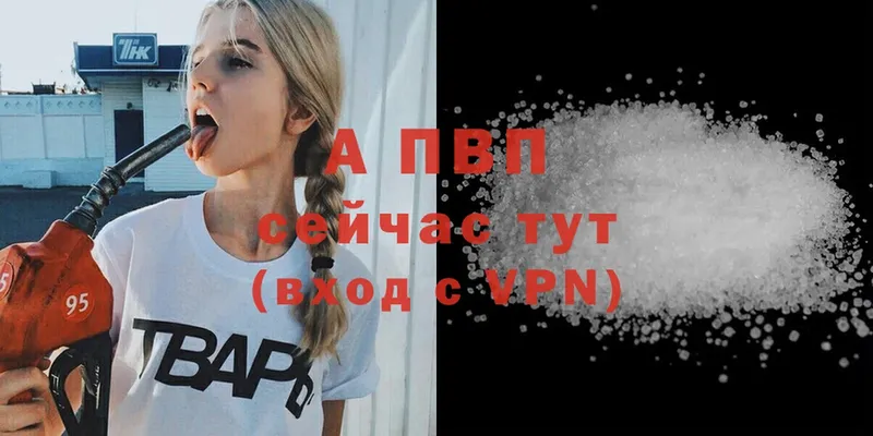 APVP VHQ  Пошехонье 