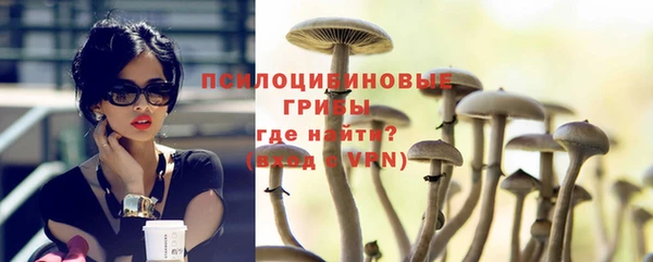 мескалин Новозыбков