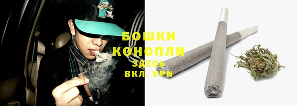 трава Билибино